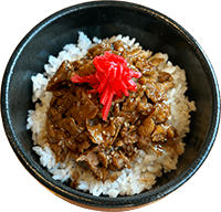 Vegan Daily Mini Donburi