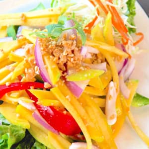 Vegetables & Tofu Salad Rolls (2 pcs)