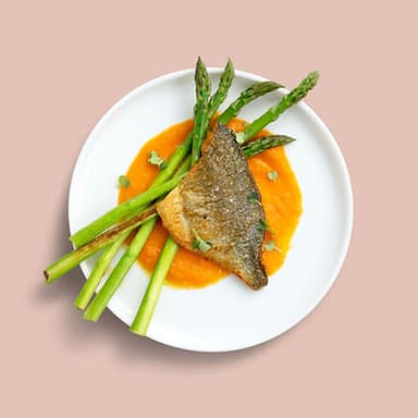 Fish of the Day