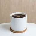 Drip Coffee L- Hot or Iced