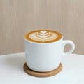 Dolce Latte M- Hot or Iced