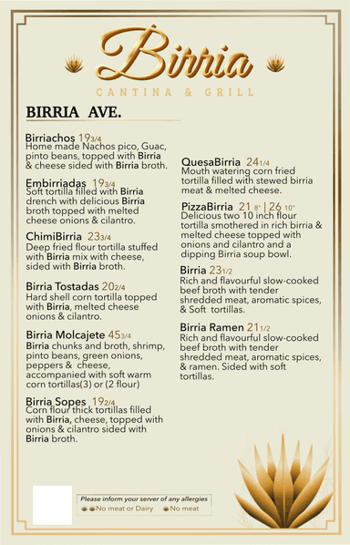 Birria Burrito