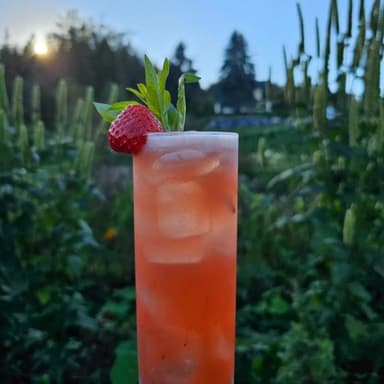 Creek and Gully Flora Cider
