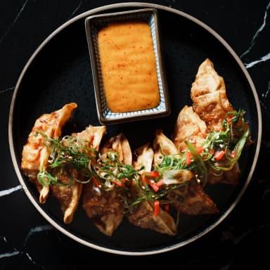 Dumplings Please