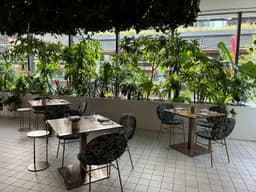 Botanist — gallery photo 6