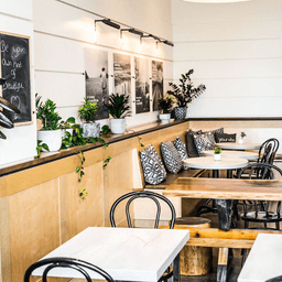 Seed N Salt Mission — gallery photo 8