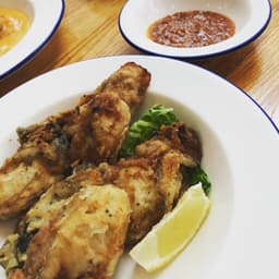 Kingfisher Seafood & Tonkatsu — gallery photo 9