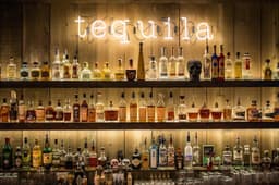 Blanco Cantina — gallery photo 5