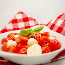Italiano Please! — gallery photo 9