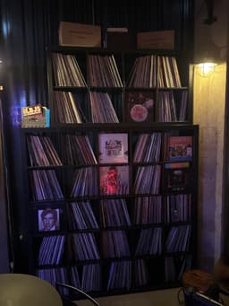 Magpie — gallery photo 7