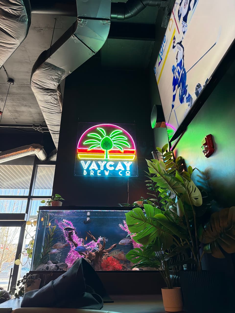 Vaycay Brew Pub — dining room photo 1