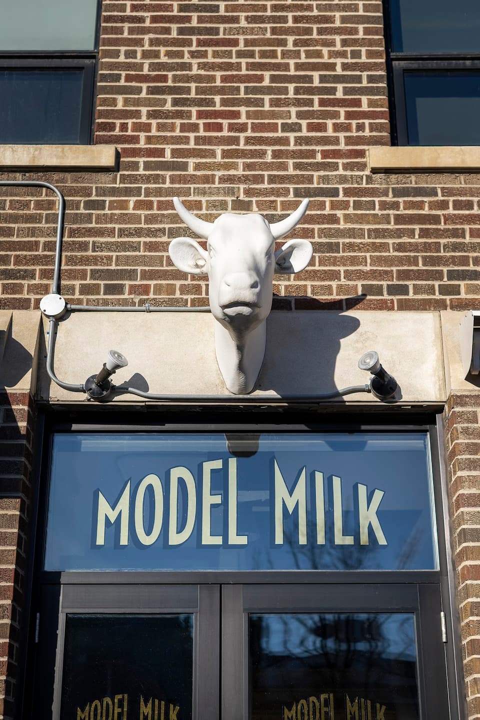 Model Milk 1